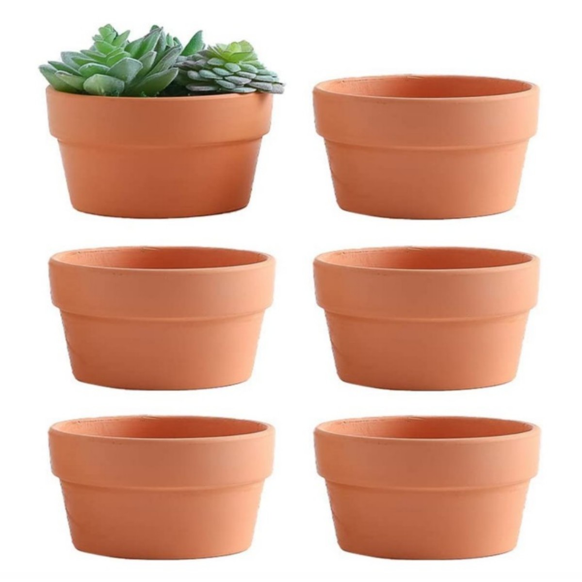 Cactus Mix Pot - 6 pezzi vasi in terracotta da