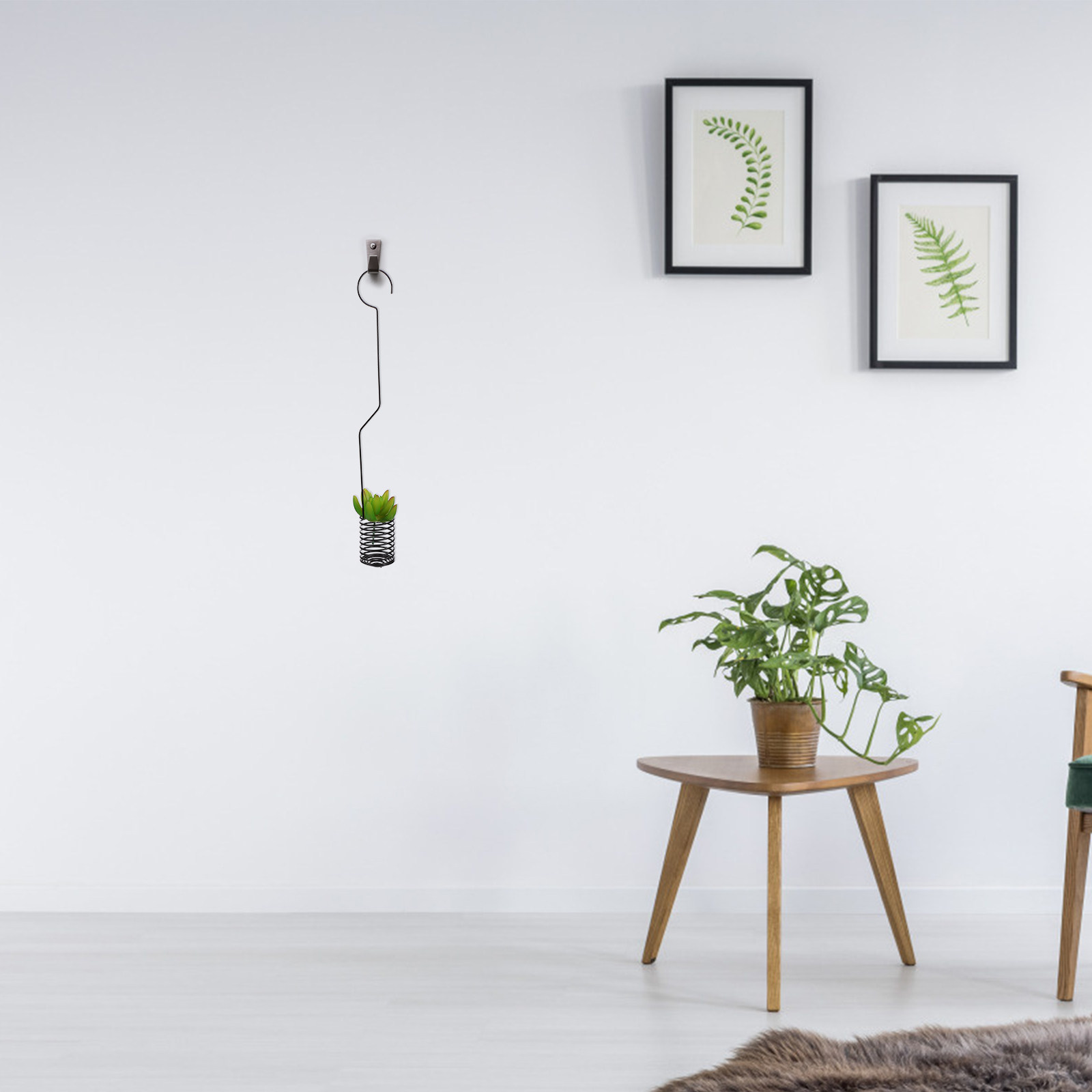 Air Plant Tillandsia - 1 Pezzo Supporto Vintage in Ferro