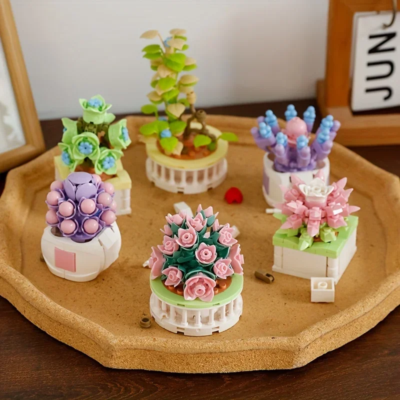 Cactus Mix Pot - Blocchi da Costruzione DIY per Piante