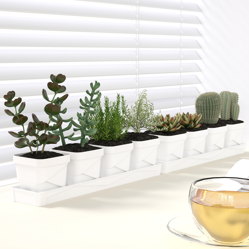 Cactus Mix Pot - Vaso per Piante Grasse in Stile
