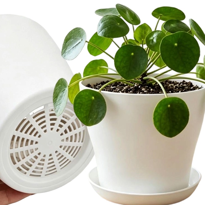 Cactus Mix Pot - Set di Vasi per Piante con