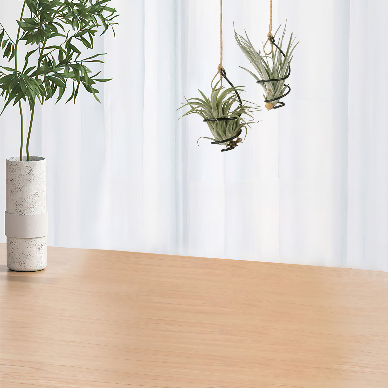 Air Plant Tillandsia - Set di 12 Supporti per Piante
