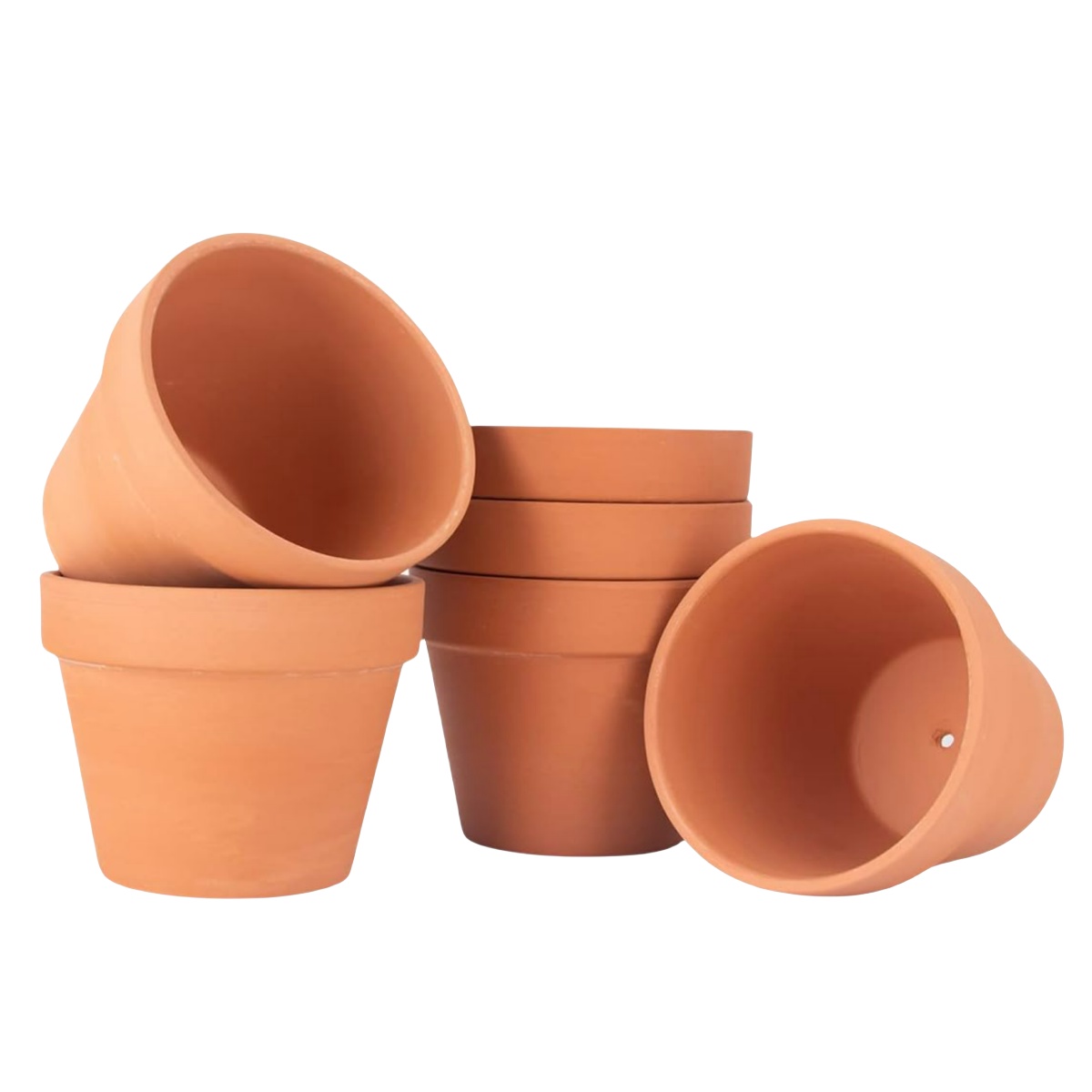 6 pezzi da 4 pollici vasi di t - Cactus Mix Pot recensione e prezzo