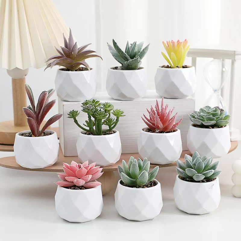 Mini piante artificiali Simula - Cactus Mix Pot recensione e prezzo