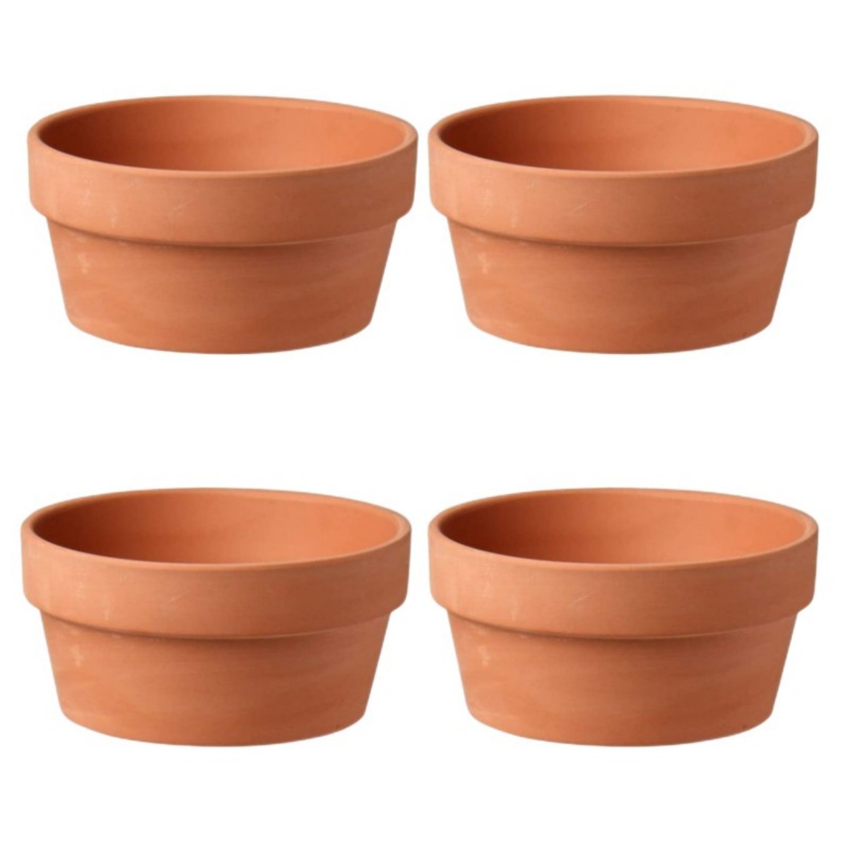 6 pezzi vasi in terracotta da  - Cactus Mix Pot recensione e prezzo