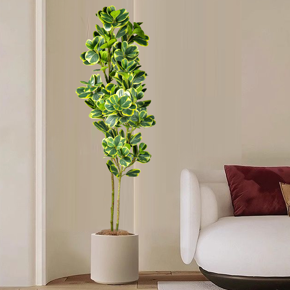 76 cm/115 cm Albero Ficus Arti - Rubber Plant Ficus recensione e prezzo