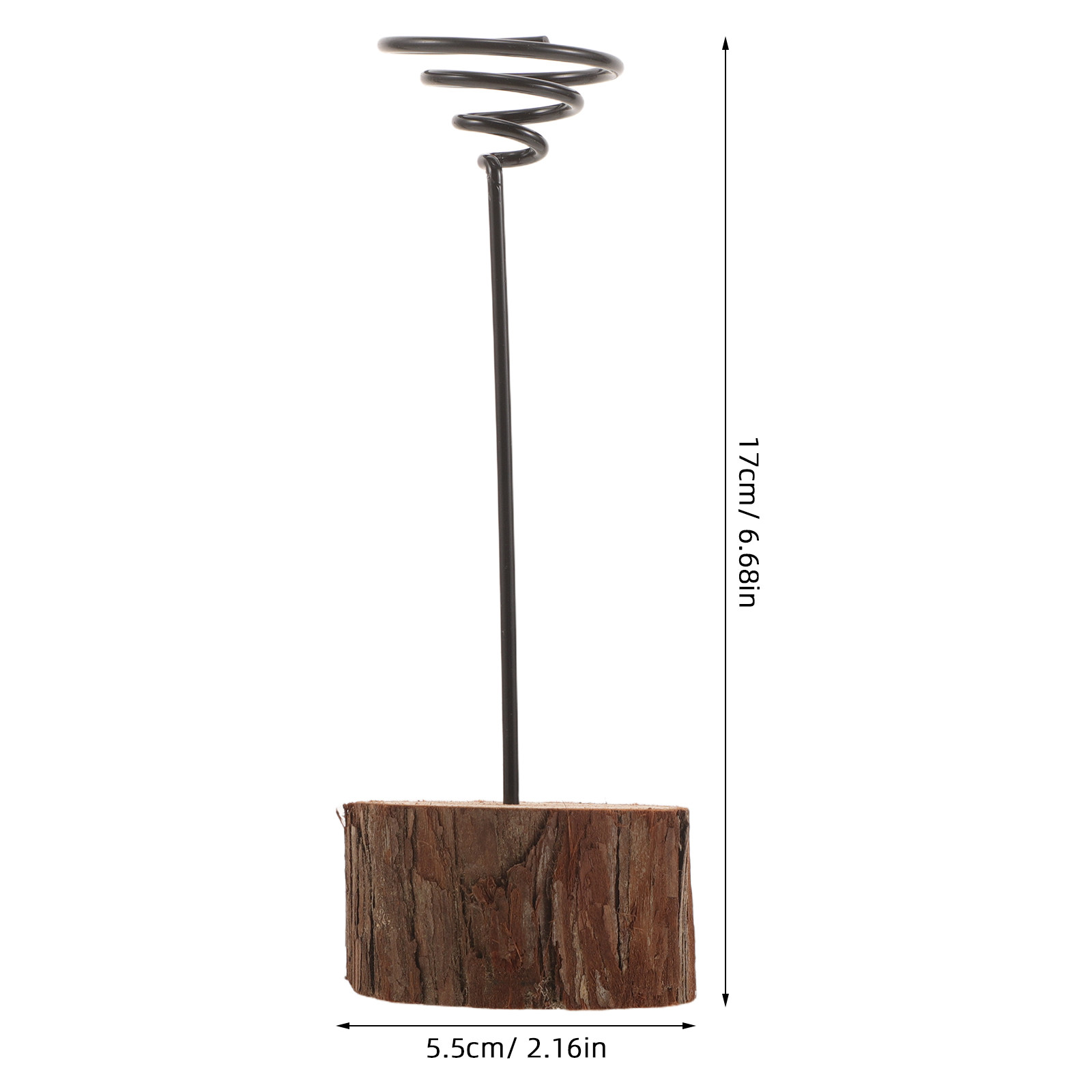 Mini Supporto da Tavolo per Pi - Air Plant Tillandsia recensione e prezzo