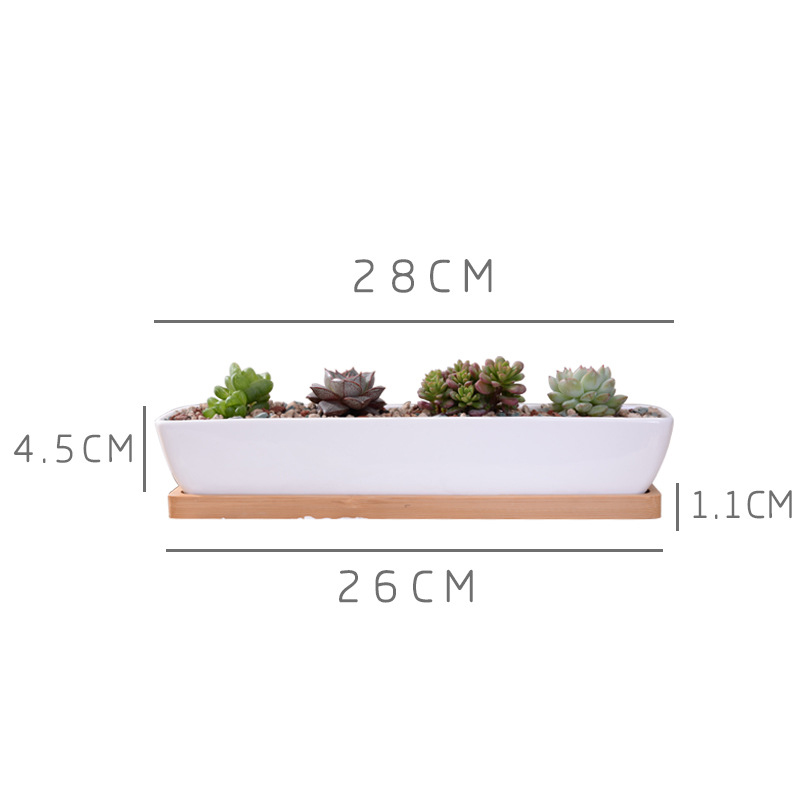 Vaso da fioriera succulenta in - Cactus Mix Pot recensione e prezzo