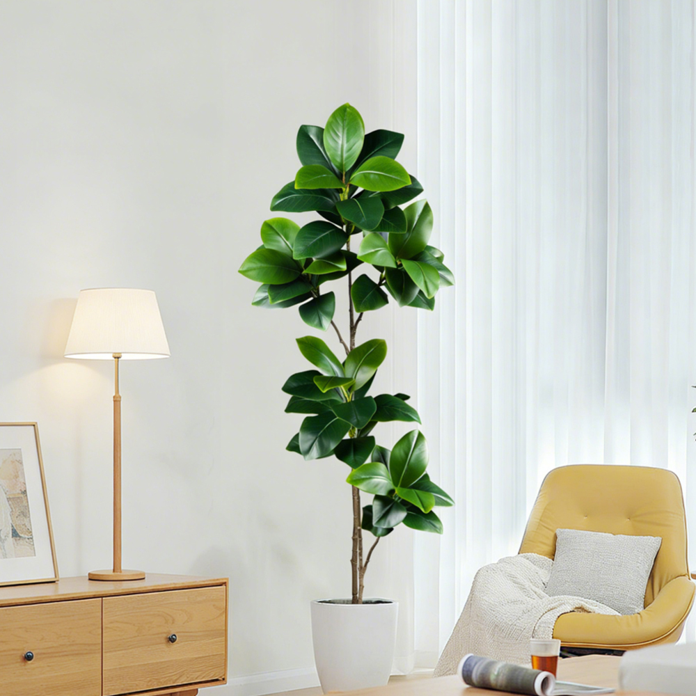 Albero di gomma artificiale da - Rubber Plant Ficus recensione e prezzo