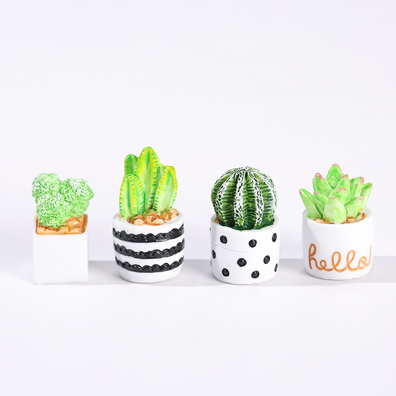 4 pezzi/set di mini ornamenti  - Cactus Mix Pot recensione e prezzo