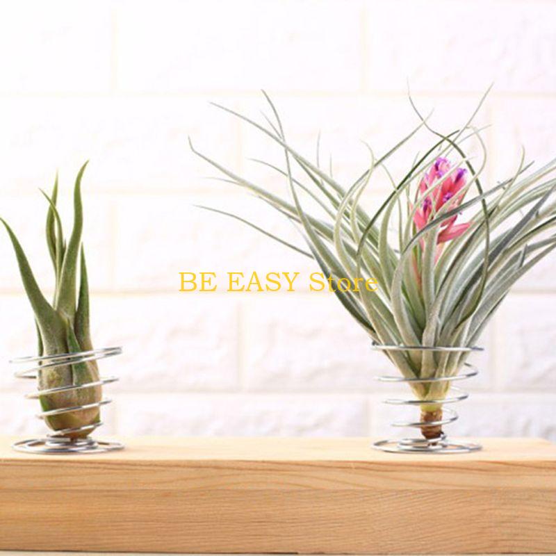 E28F Set 20 piante da appartam - Air Plant Tillandsia recensione e prezzo