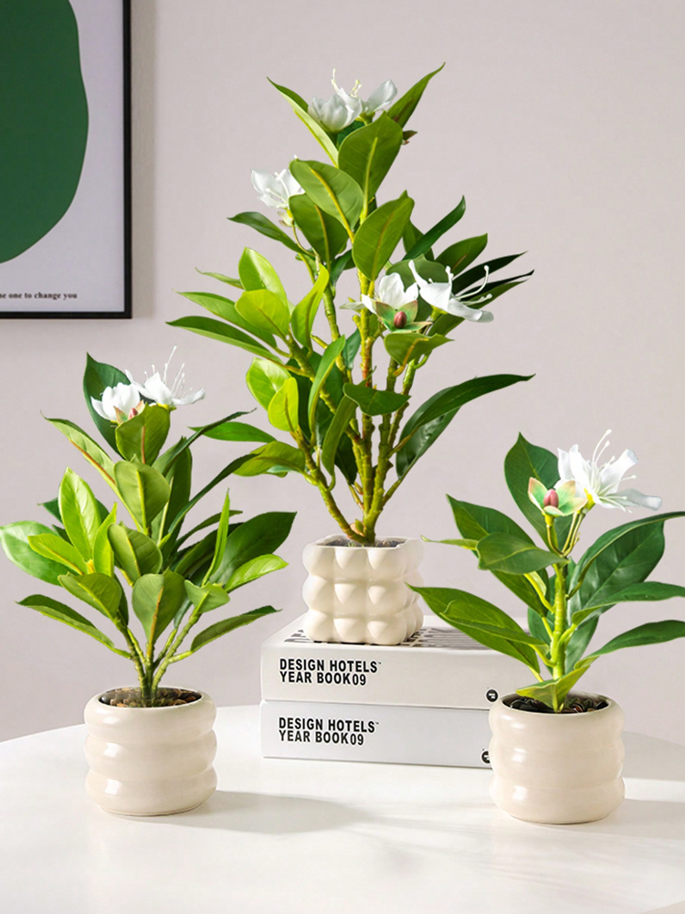 Piante Azaleas artificiali da  - Rubber Plant Ficus recensione e prezzo