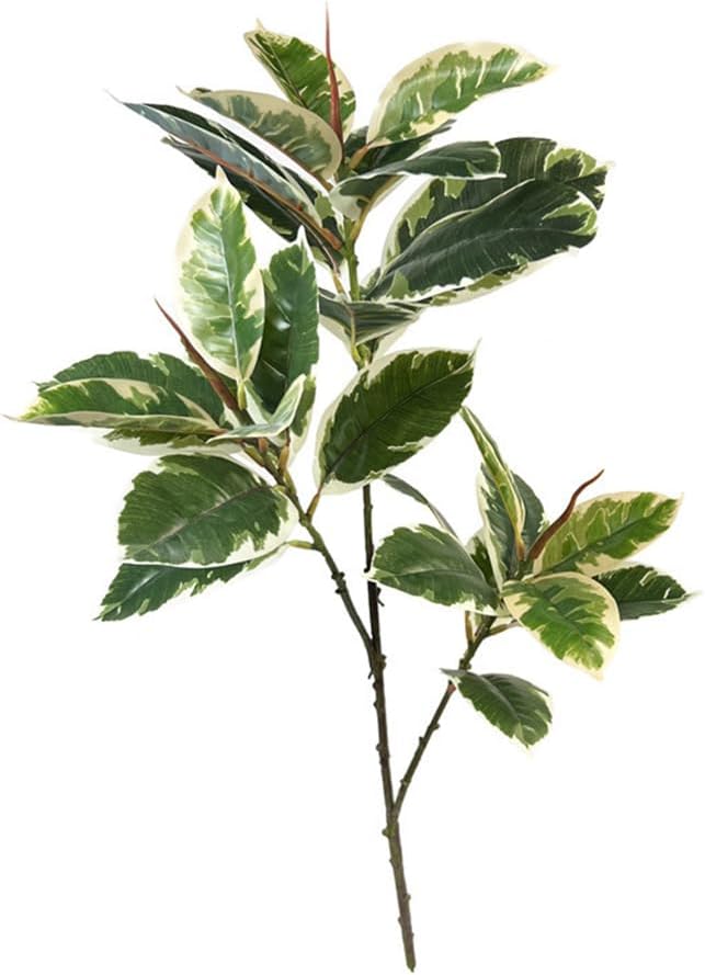 Pianta artificiale Ficus Tinek - Rubber Plant Ficus recensione e prezzo
