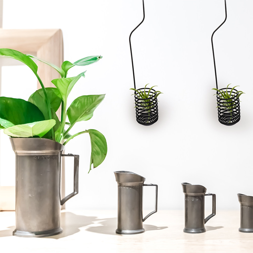 3 Pezzi di Supporti Regolabili - Air Plant Tillandsia recensione e prezzo