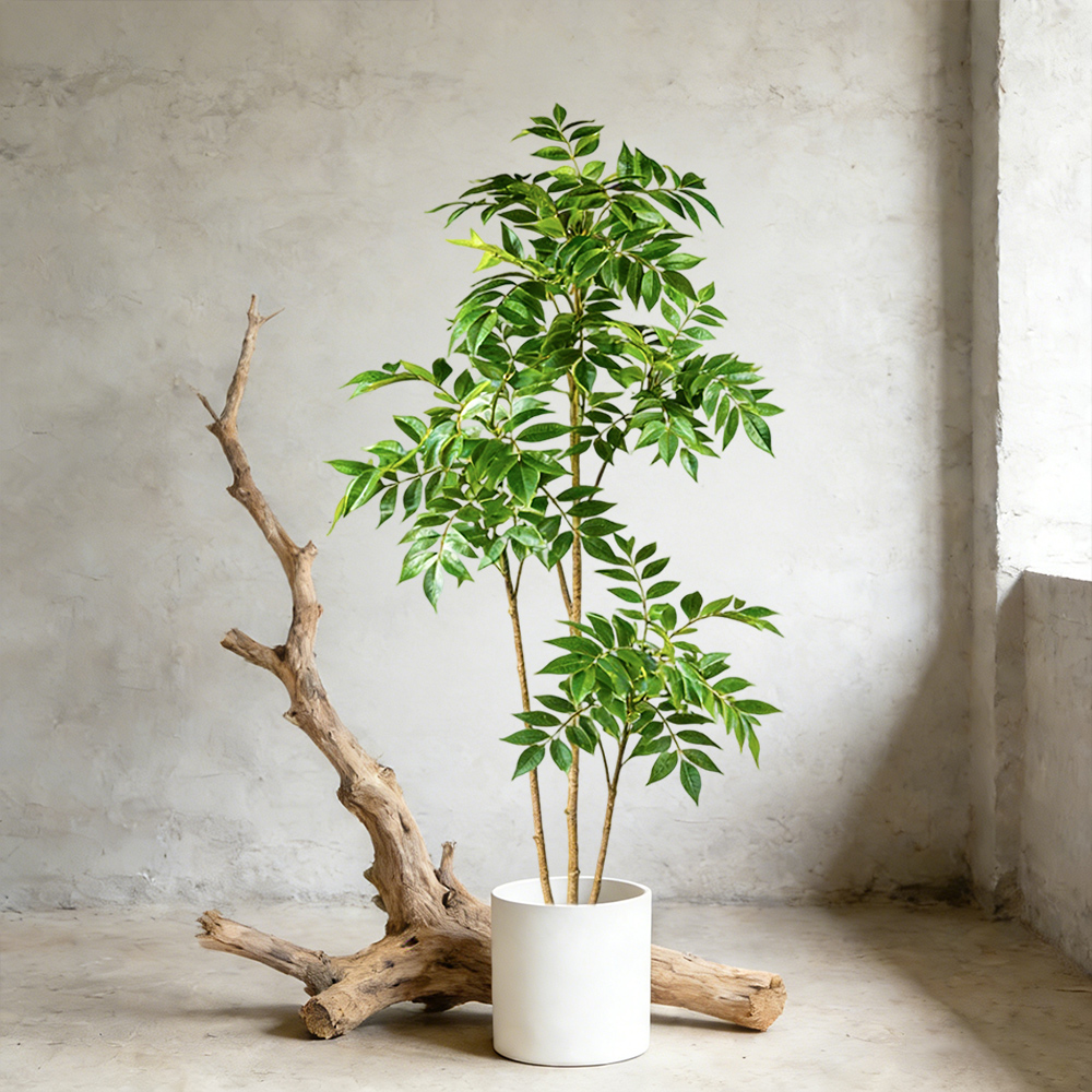 Albero di gomma artificiale da - Rubber Plant Ficus recensione e prezzo