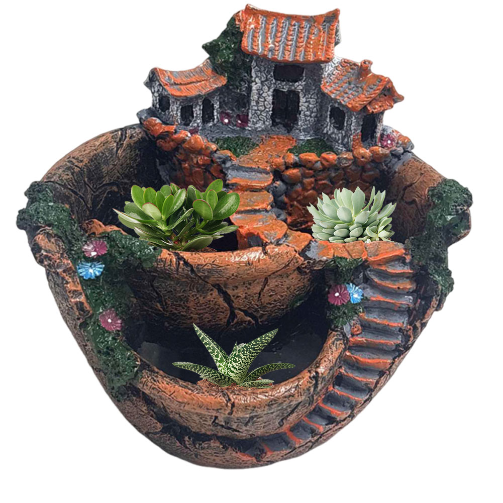 Vaso per Piante Grasse Vintage - Cactus Mix Pot recensione e prezzo