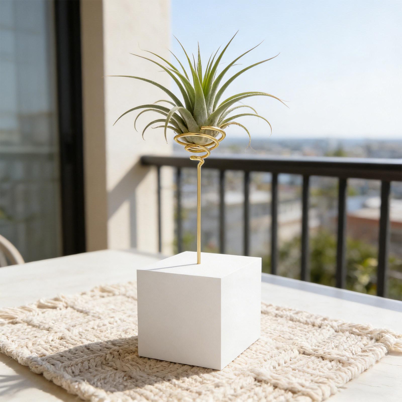 6 Pezzi Supporto per Piante Ae - Air Plant Tillandsia recensione e prezzo