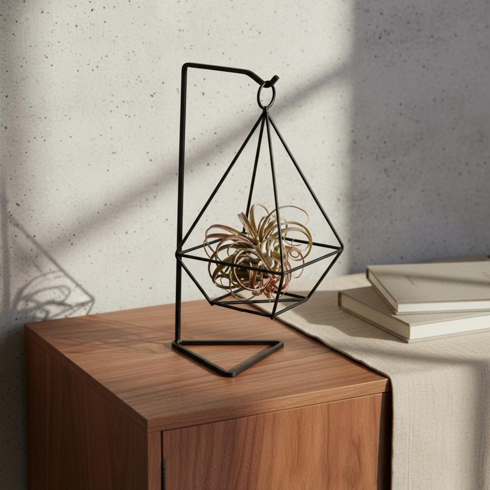 Supporto Geometrico per Piante - Air Plant Tillandsia recensione e prezzo