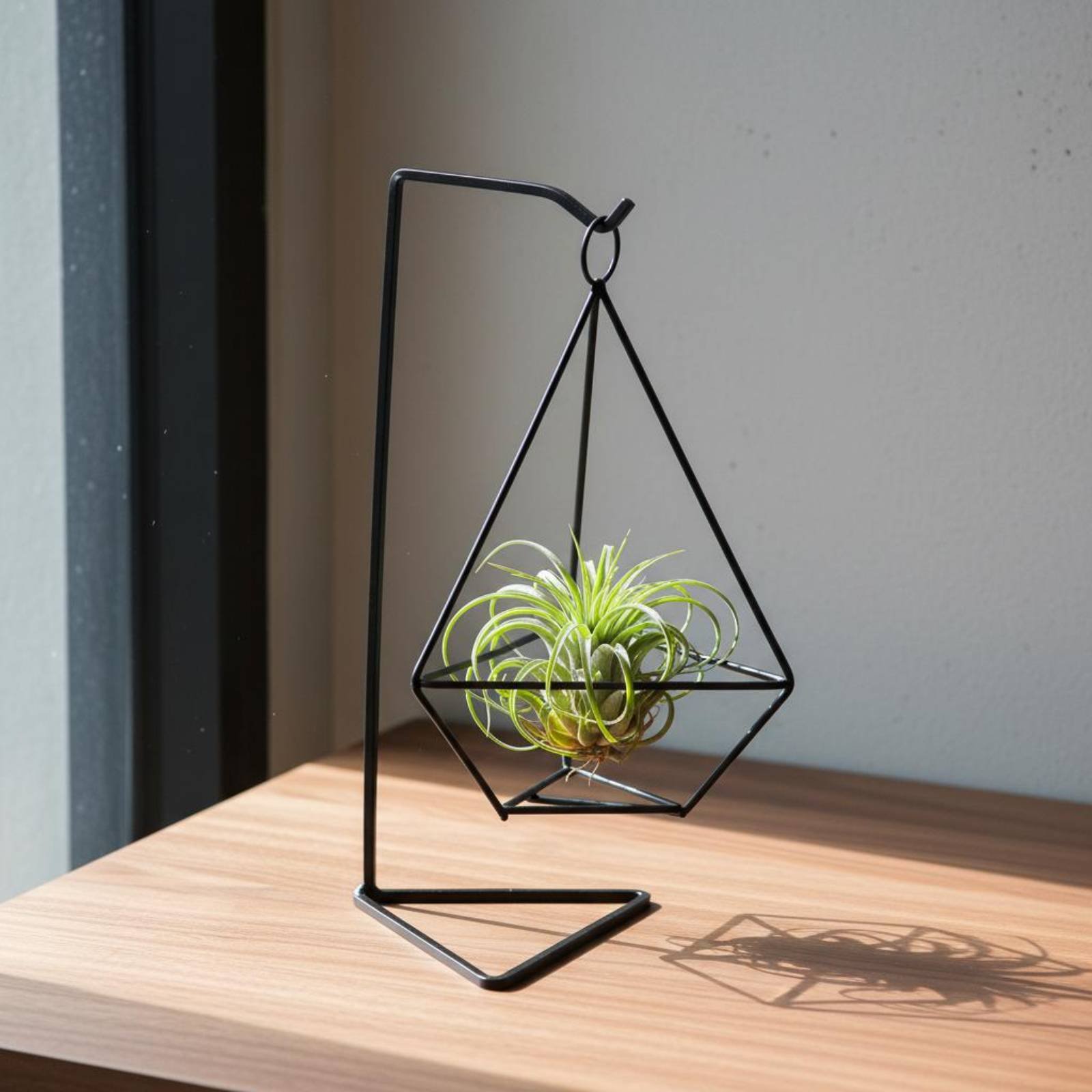 Supporto Geometrico per Piante - Air Plant Tillandsia recensione e prezzo