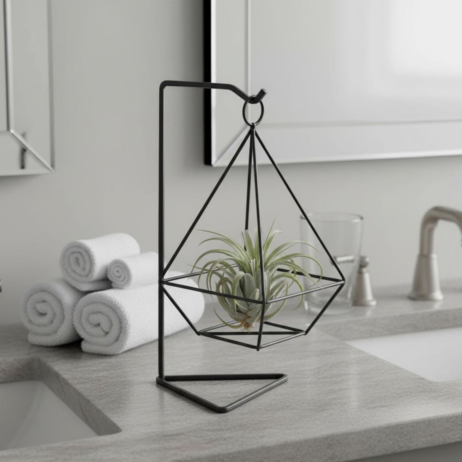 Supporto Geometrico per Piante - Air Plant Tillandsia recensione e prezzo