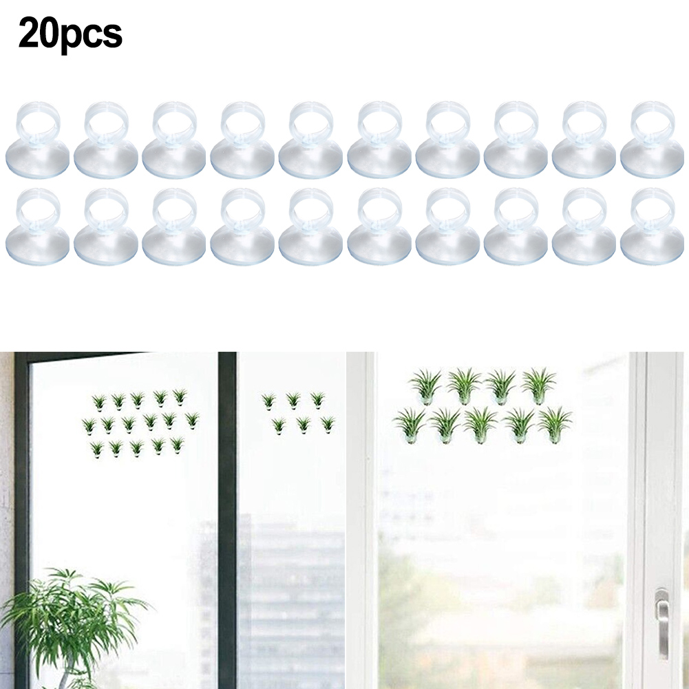 Supporto per piante aeree da 2 - Air Plant Tillandsia recensione e prezzo