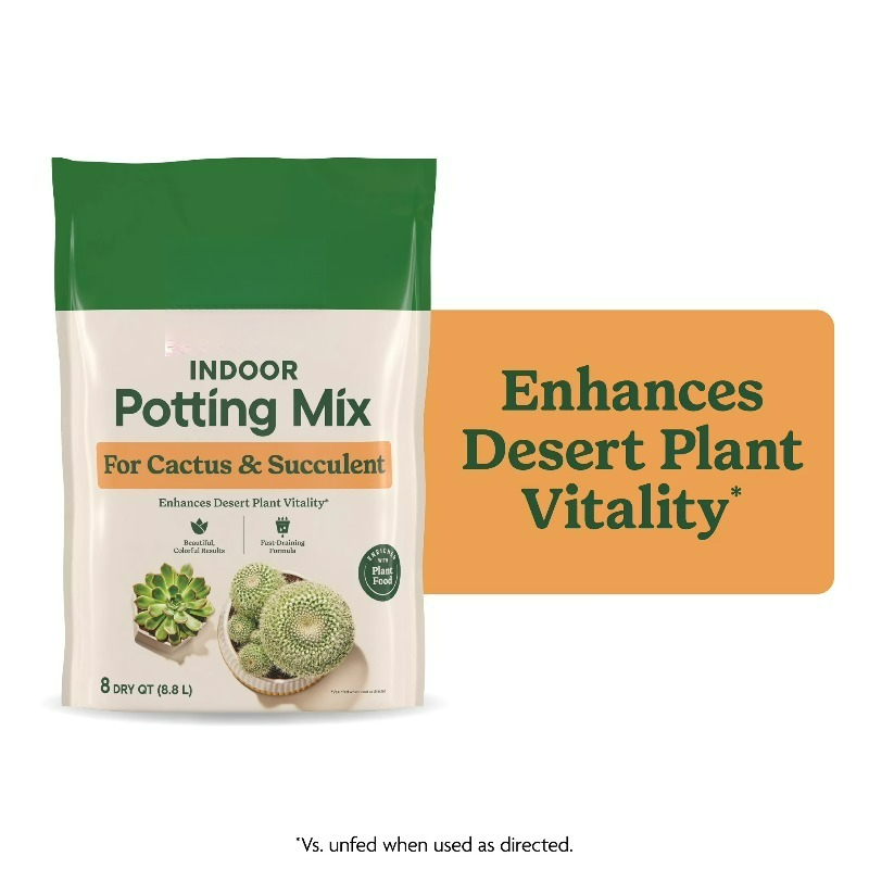 Confezione da 2: Miscela per p - Cactus Mix Pot recensione e prezzo