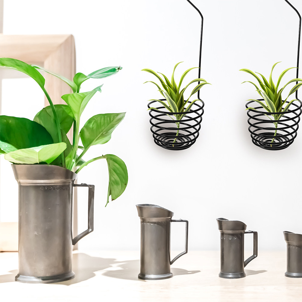 3 Pezzi di Supporti a Spirale  - Air Plant Tillandsia recensione e prezzo
