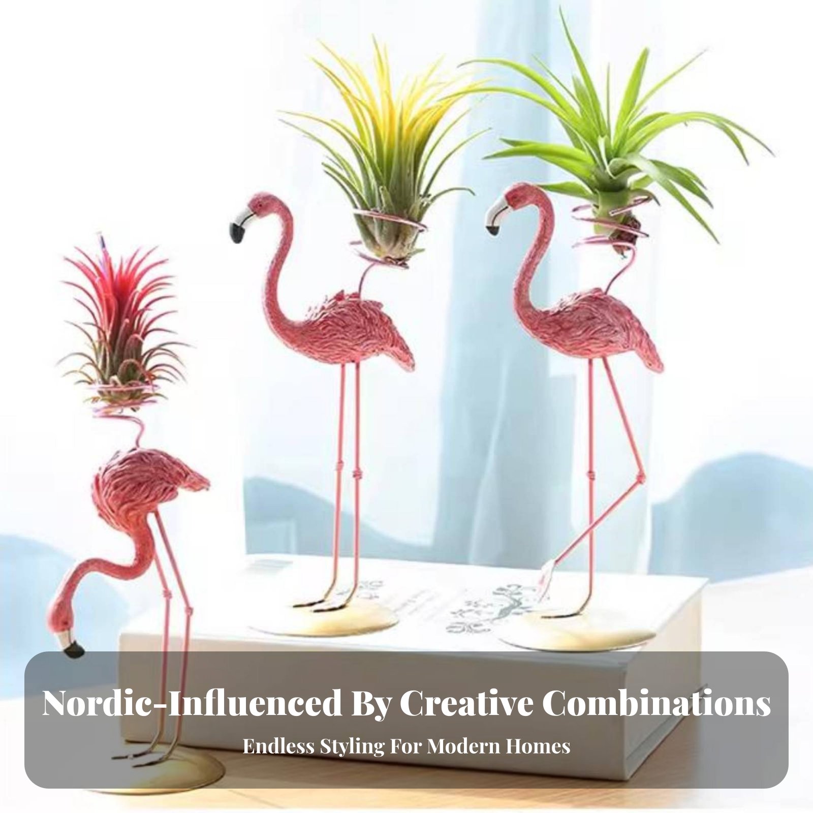 Supporto Geometrico per Tillan - Air Plant Tillandsia recensione e prezzo