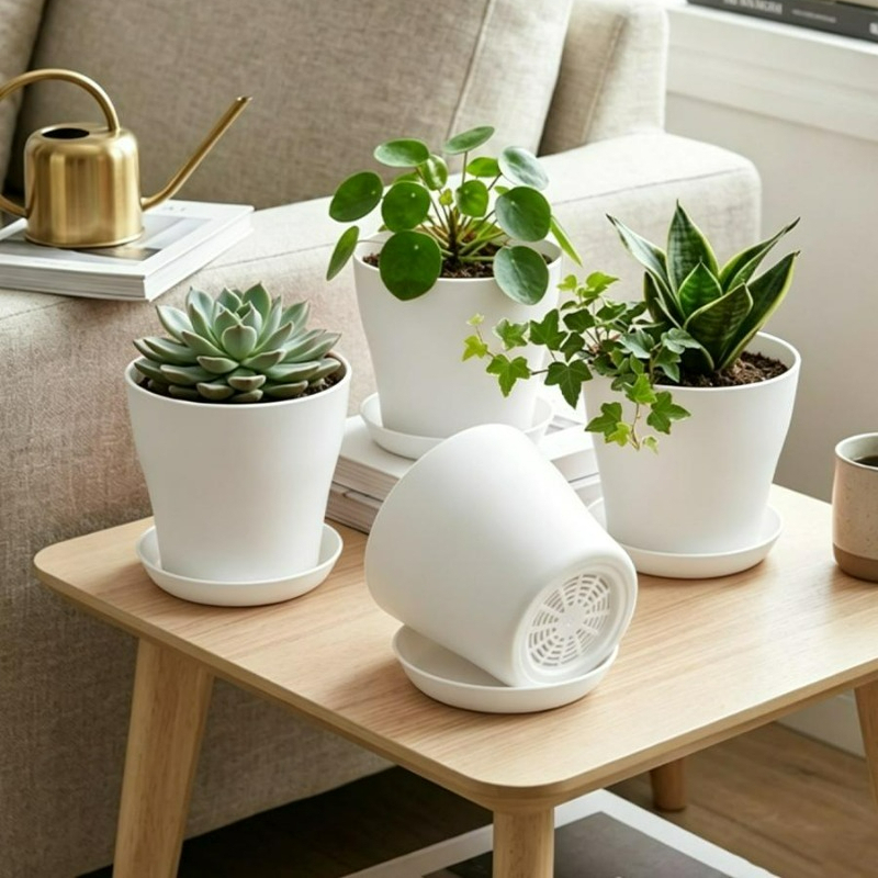 Set di Vasi per Piante con For - Cactus Mix Pot recensione e prezzo