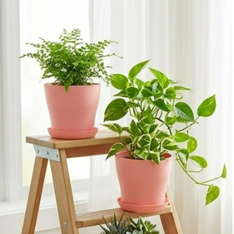 Set di Vasi per Piante con For - Cactus Mix Pot recensione e prezzo