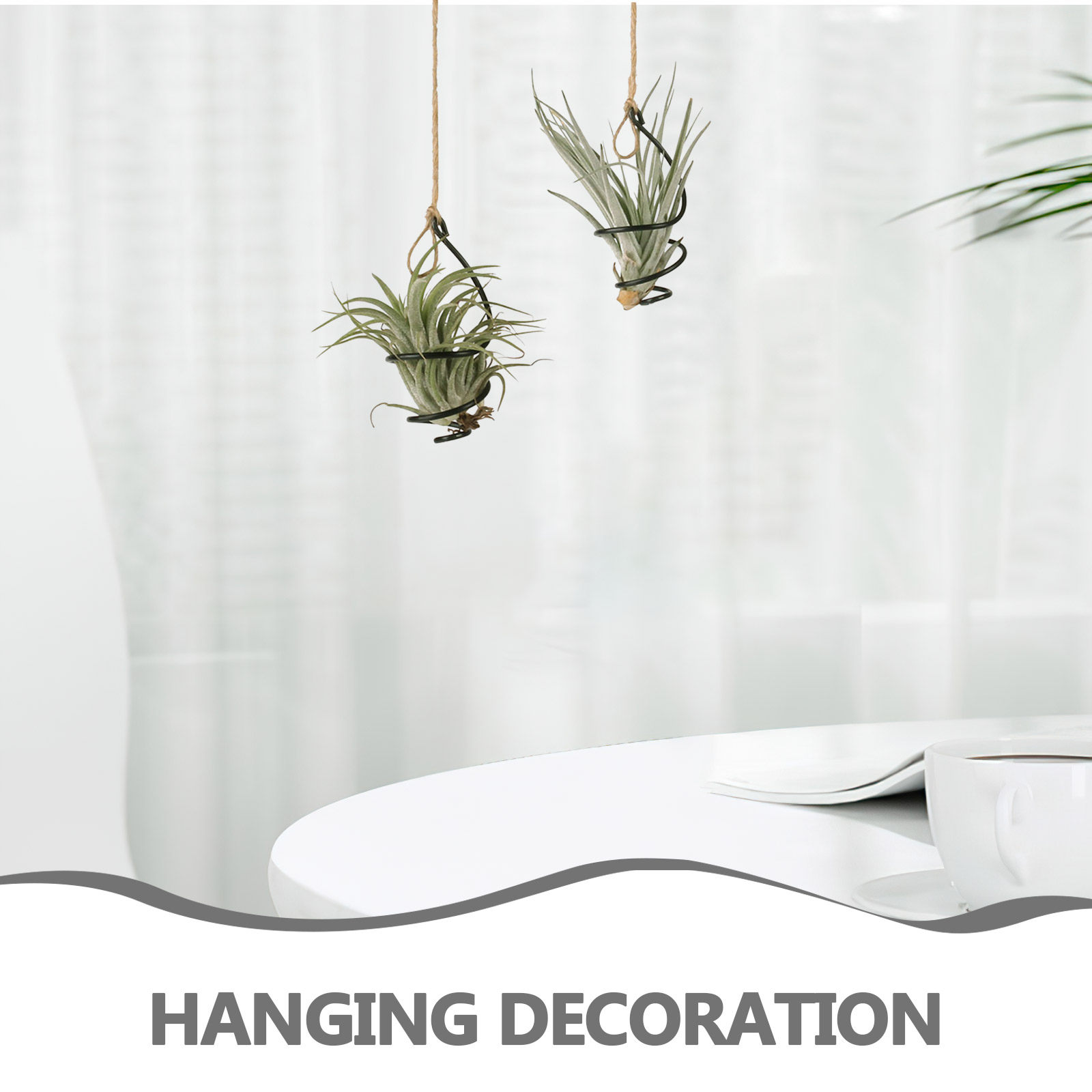 Set di 12 Supporti per Piante  - Air Plant Tillandsia recensione e prezzo